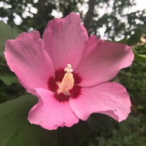 Hi I’m Sarah . I hope you enjoy my closet !